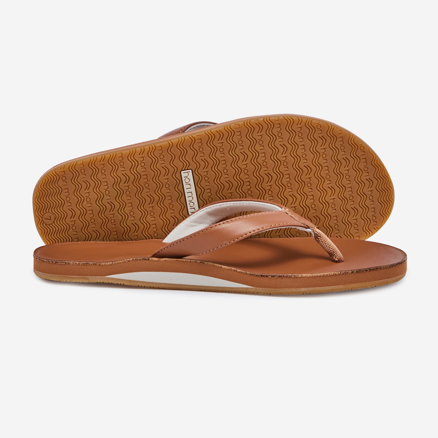 Women's Clipper | Acorn